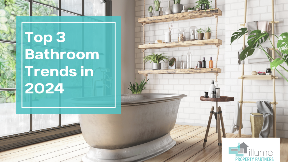 Elevate Your Space: Top Bathroom Trends of 2024